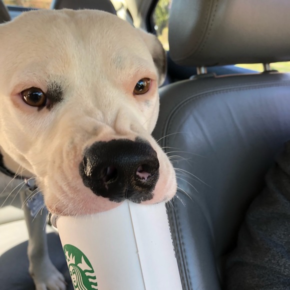 Thank you ❤️ - Picture 9 of 12